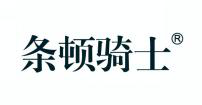  条顿骑士