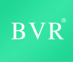  BVR