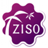  ZISO