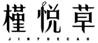  槿悦草