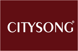  CITYSONG