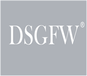  DSGFW