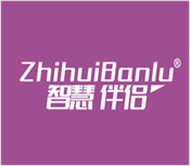  智慧伴侣