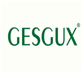  GESGUX