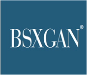  BSXGAN