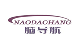  脑导航