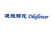  迪拉丽花