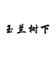  玉兰树下