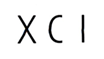  XCI