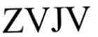  ZVJV
