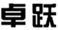  卓跃