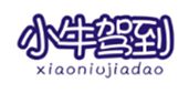  小牛驾到