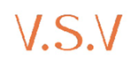 VSV