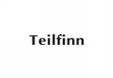  TEILFINN