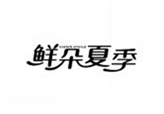  鲜朵夏季