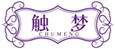  触梦