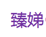  臻娣