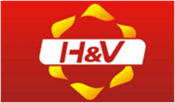  HV
