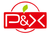  PX