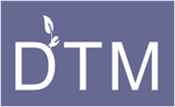  DTM