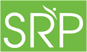  SRP