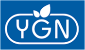  YGN