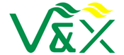  VX