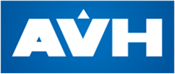  AVH