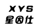  星因仕