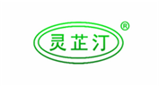  灵芷汀