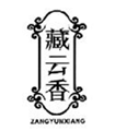  藏云香
