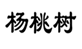  杨桃树