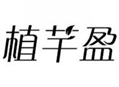  植芊盈