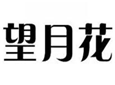  望月花