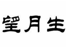  望月生