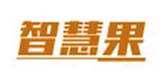  智慧果