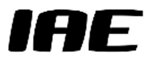  IAE