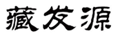  藏发源