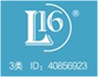  L16