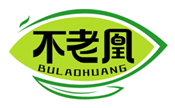  不老凰